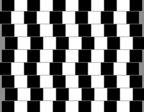 Optical%20Illusions.png