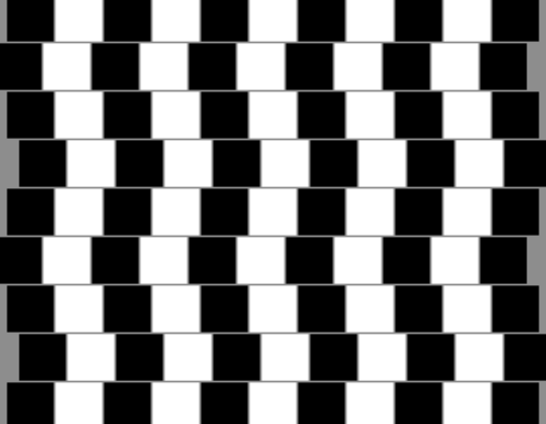 NetLogo Models Library: Optical Illusions